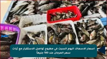 أسعار الأسماك اليوم السبت في مطروح تواصل الاستقرار مع ثبات سعر المرجان عند 180 جنيهاً